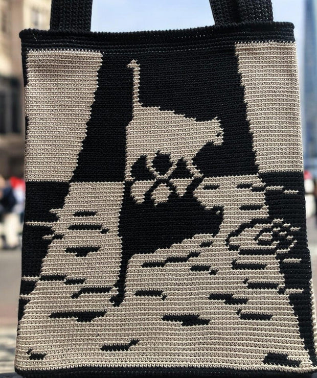 Sunwoven cat bag Crochet Pattern